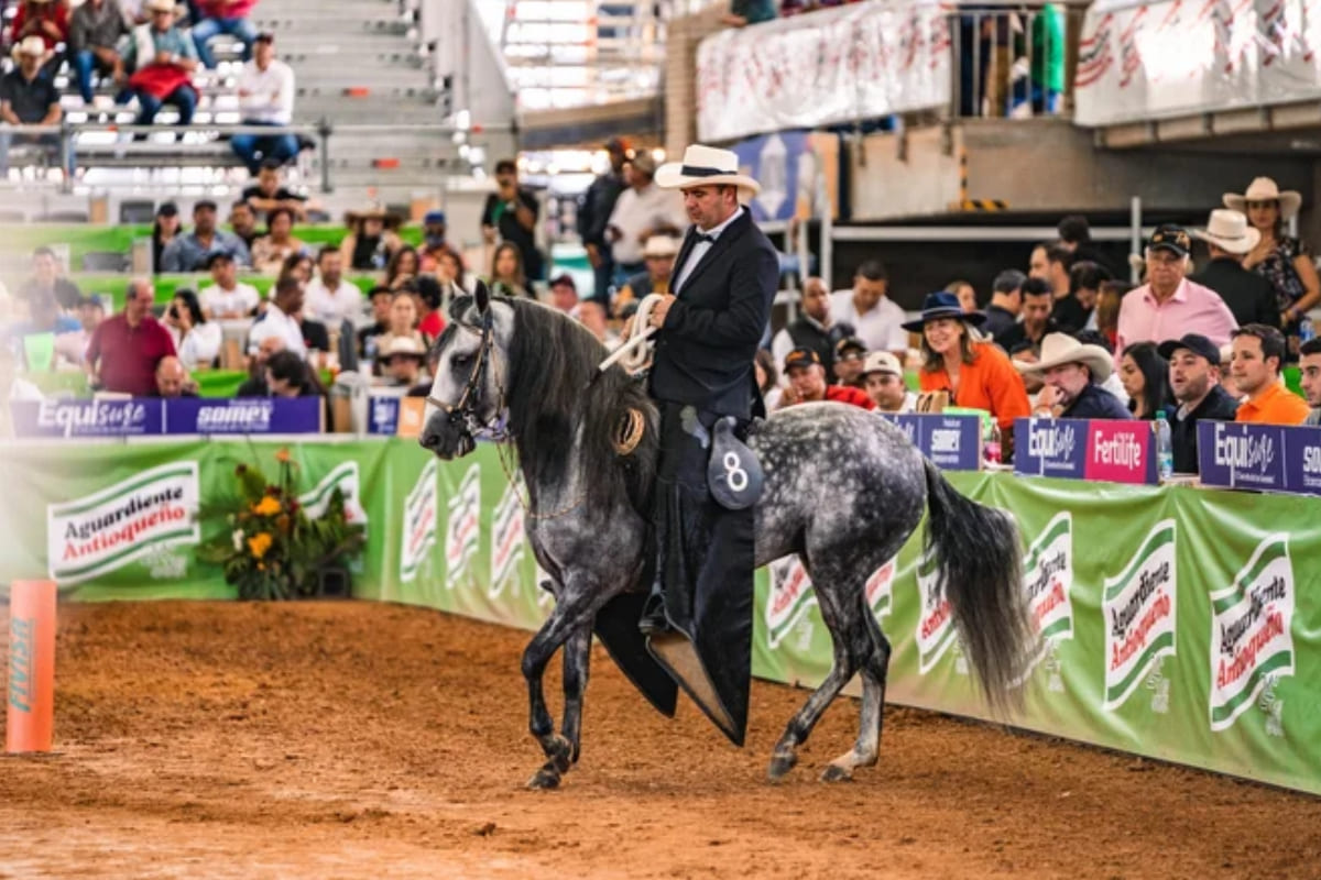 Más de 160 exposiciones y ferias durante el año 2024