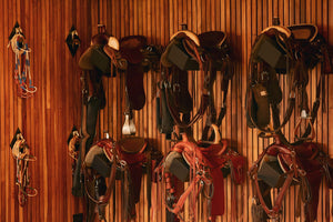 ¿Quiere cabalgar? Así debe escoger su montura según la actividad que vaya a hacer