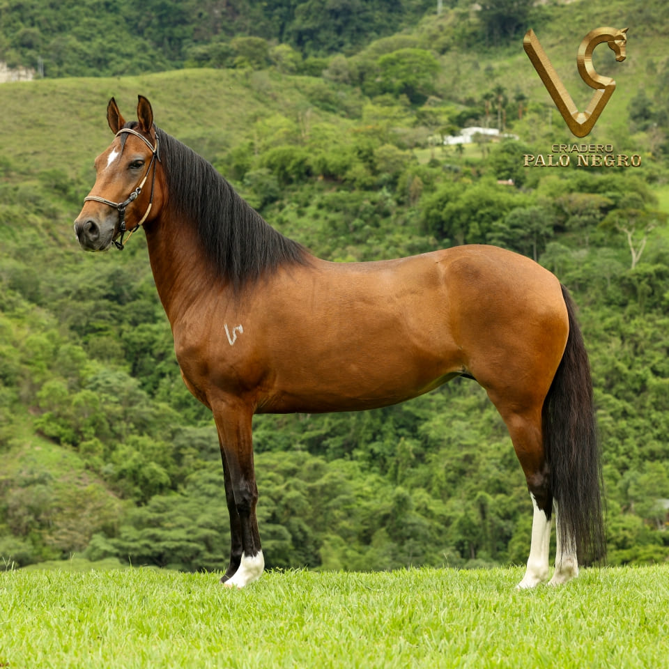 Un legado familiar !