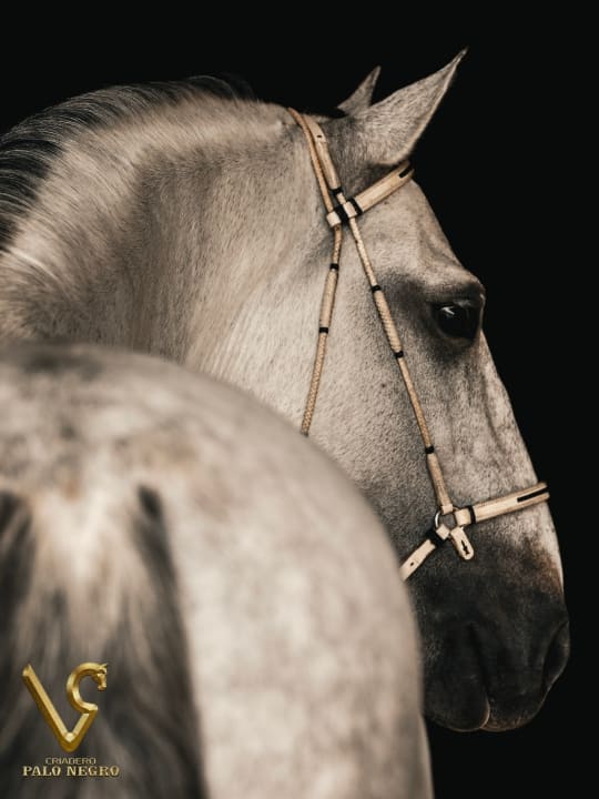 Aurelio M de las Bermudas / Servicio Reproductivo (Semen)