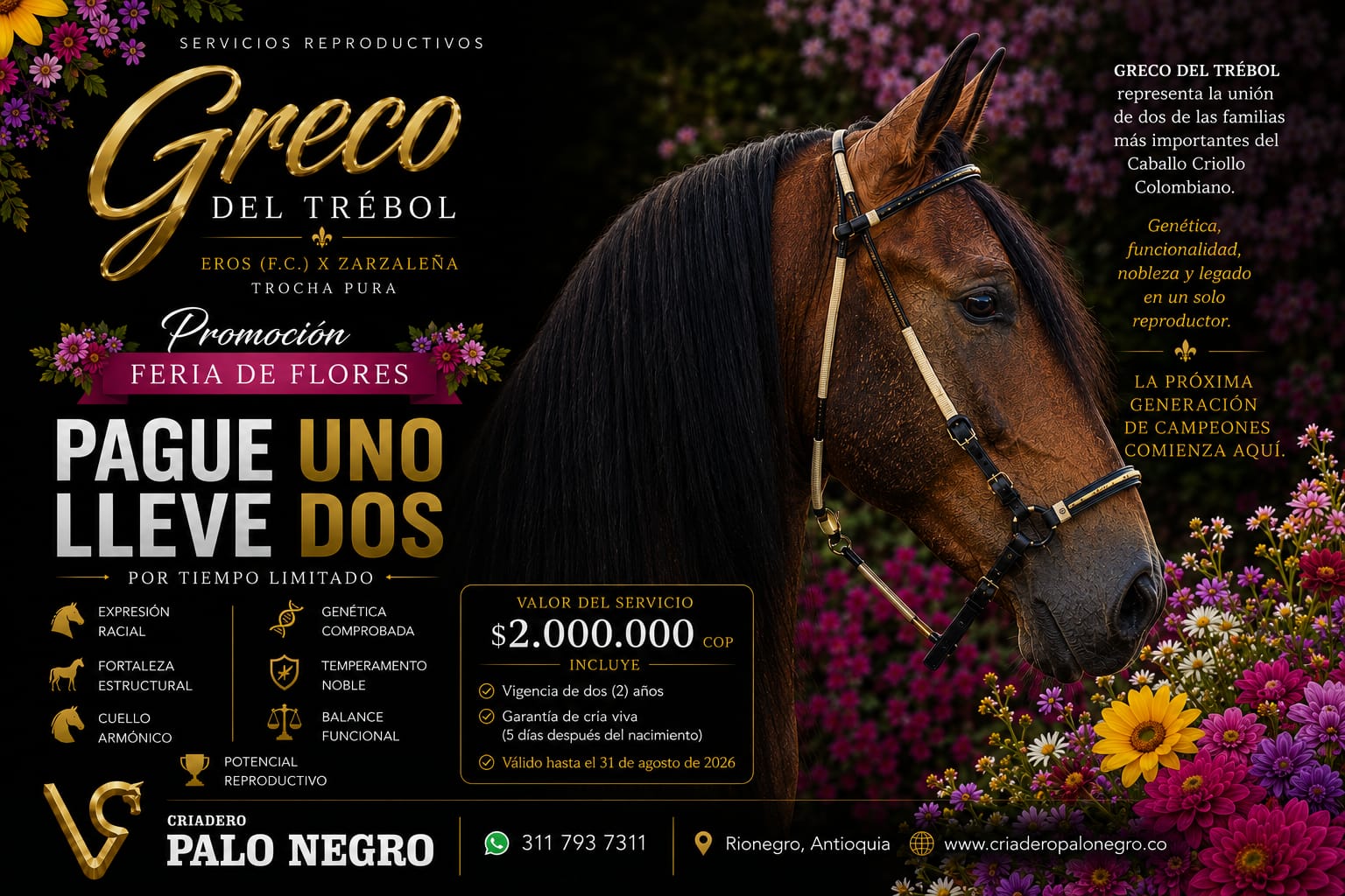 Greco del Trébol Promo 2 x 1 ( Semen )