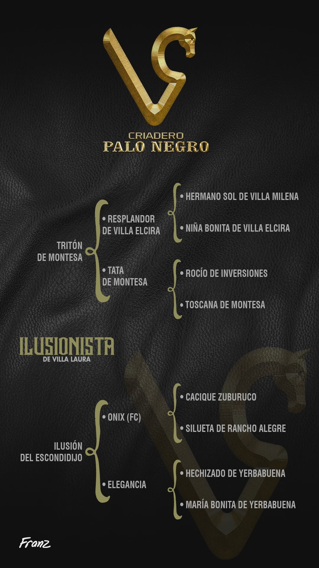 Ilusionista de Villa Laura / Servicio Reproductivo (Semen)