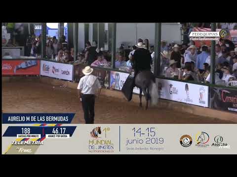 Aurelio M de las Bermudas / Servicio Reproductivo (Semen)